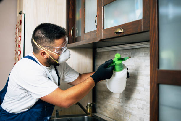 Pest Control for Restaurants in Jasper, TX