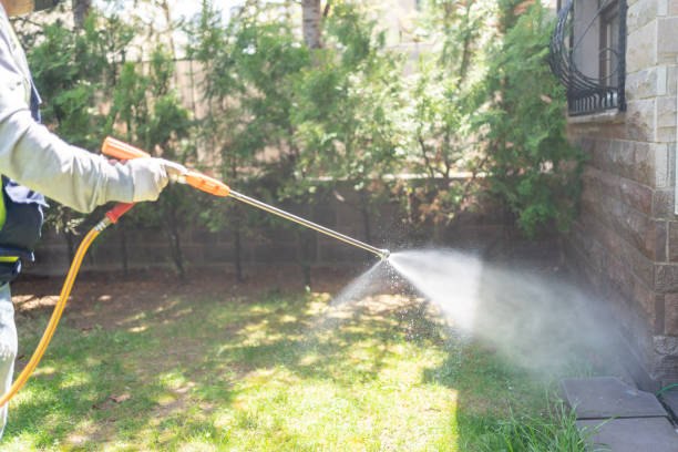 Flea Control Services in Jasper, TX