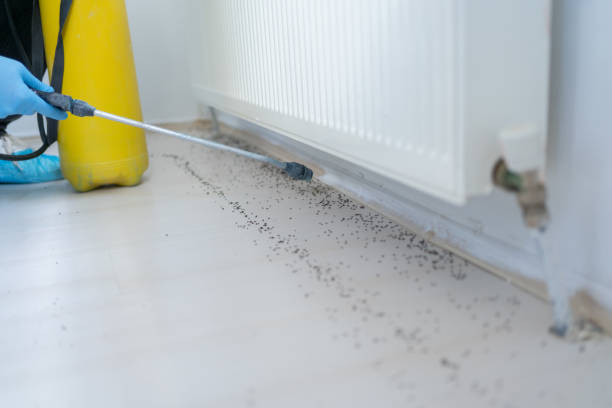 Best Best Pest Control Companies  in Jasper, TX