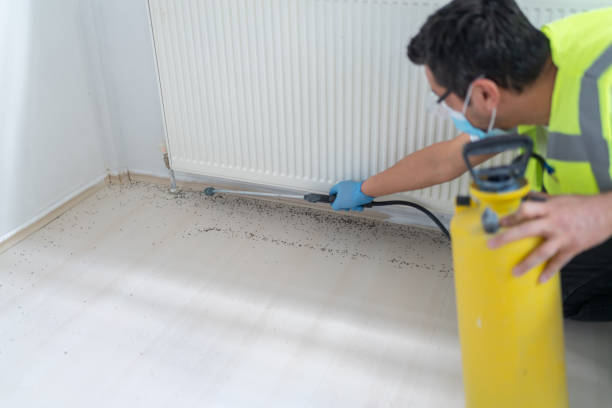 Best Affordable Pest Control Services  in Jasper, TX